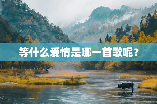 等什么爱情是哪一首歌呢？