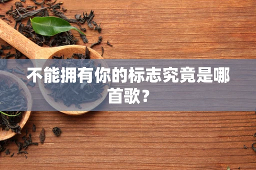 不能拥有你的标志究竟是哪首歌？