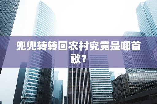 兜兜转转回农村究竟是哪首歌？