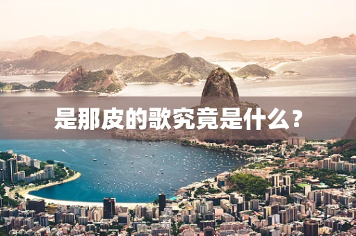 是那皮的歌究竟是什么？