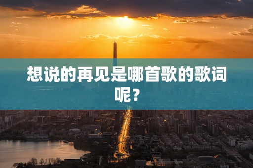 想说的再见是哪首歌的歌词呢？
