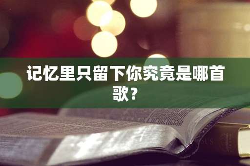 记忆里只留下你究竟是哪首歌？