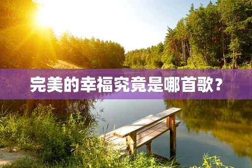 完美的幸福究竟是哪首歌？