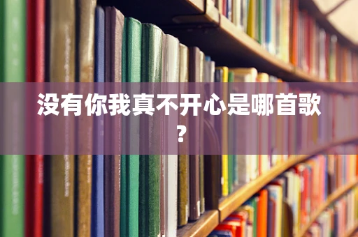 没有你我真不开心是哪首歌？