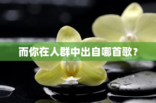 而你在人群中出自哪首歌？