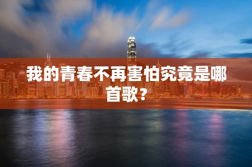 我的青春不再害怕究竟是哪首歌？