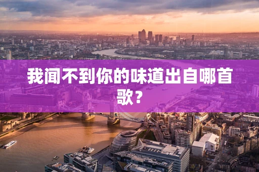 我闻不到你的味道出自哪首歌？