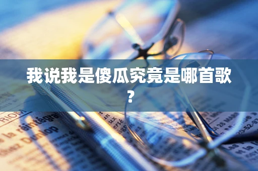我说我是傻瓜究竟是哪首歌？