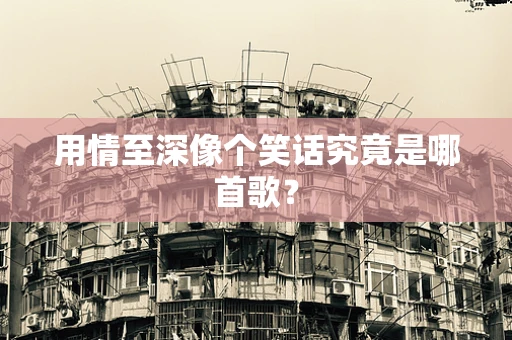 用情至深像个笑话究竟是哪首歌？