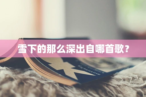 雪下的那么深出自哪首歌？