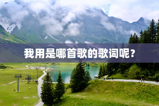 我用是哪首歌的歌词呢？