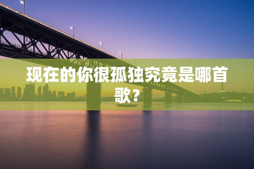 现在的你很孤独究竟是哪首歌？