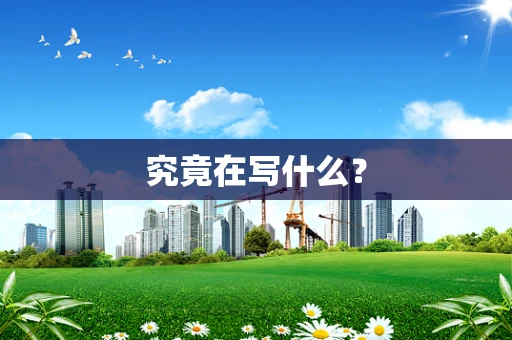 究竟在写什么？