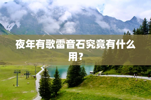 夜年有歌雷音石究竟有什么用？