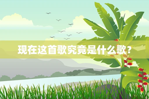 现在这首歌究竟是什么歌？
