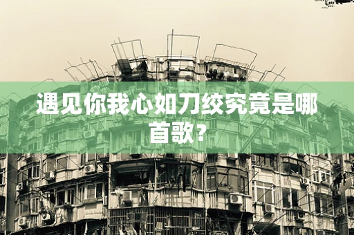 遇见你我心如刀绞究竟是哪首歌？