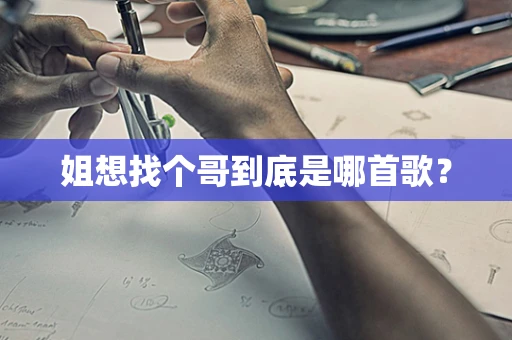 姐想找个哥到底是哪首歌？