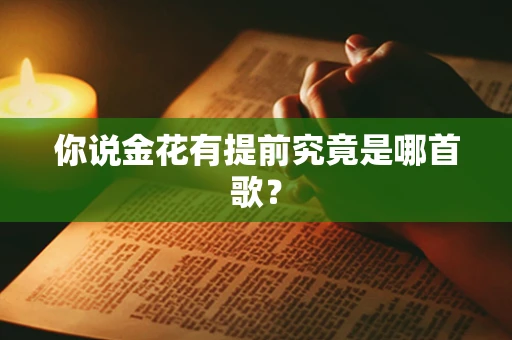你说金花有提前究竟是哪首歌？