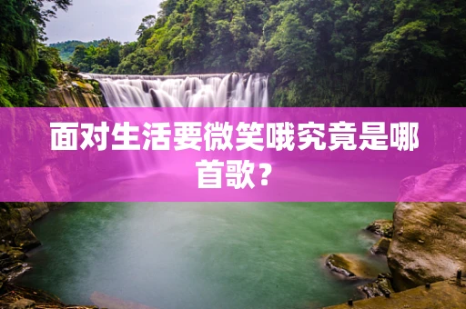 面对生活要微笑哦究竟是哪首歌？