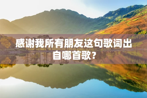 感谢我所有朋友这句歌词出自哪首歌？
