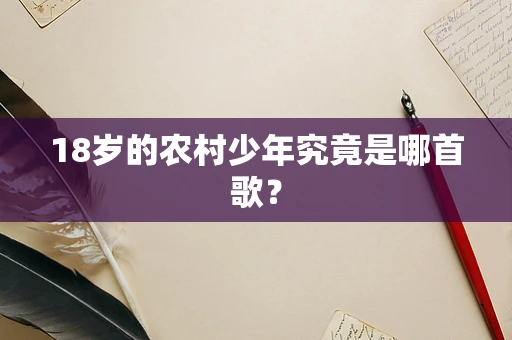 18岁的农村少年究竟是哪首歌？