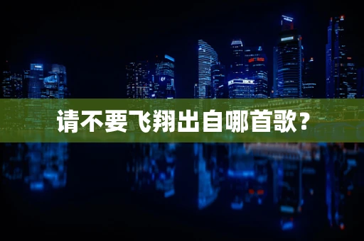 请不要飞翔出自哪首歌？