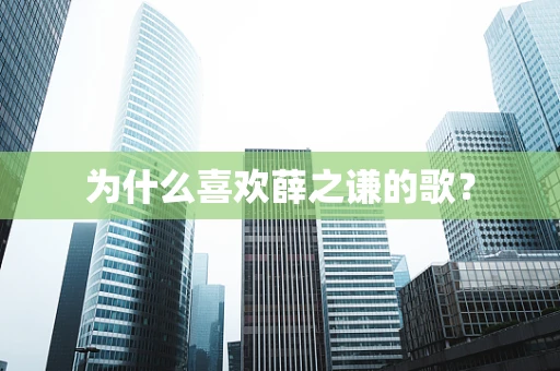 为什么喜欢薛之谦的歌？