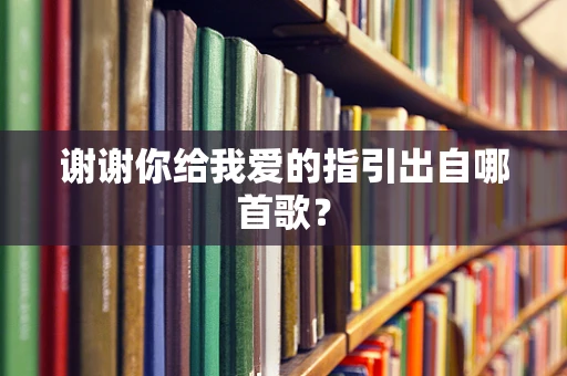 谢谢你给我爱的指引出自哪首歌？