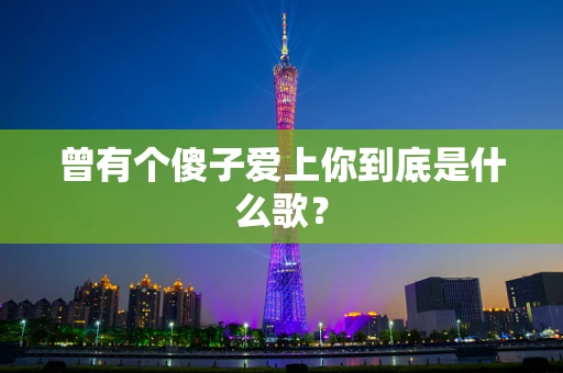 曾有个傻子爱上你到底是什么歌？