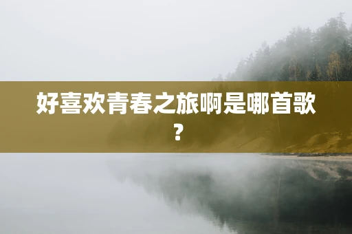 好喜欢青春之旅啊是哪首歌？