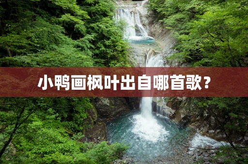 小鸭画枫叶出自哪首歌？