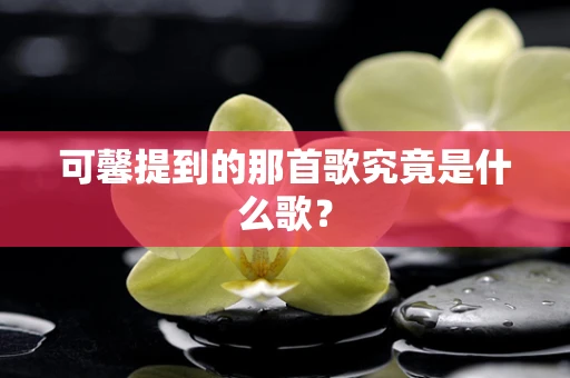 可馨提到的那首歌究竟是什么歌？