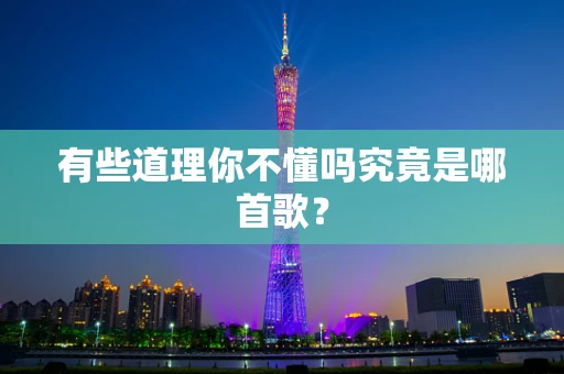 有些道理你不懂吗究竟是哪首歌？