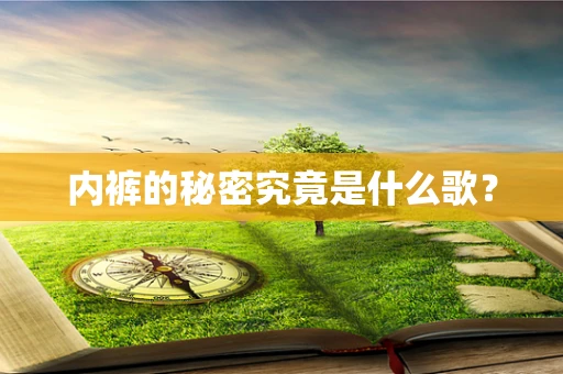 内裤的秘密究竟是什么歌？