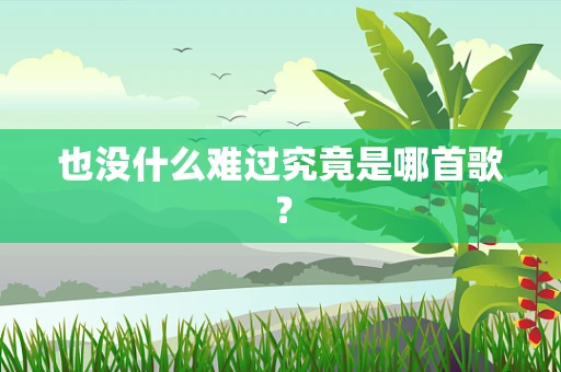 也没什么难过究竟是哪首歌？