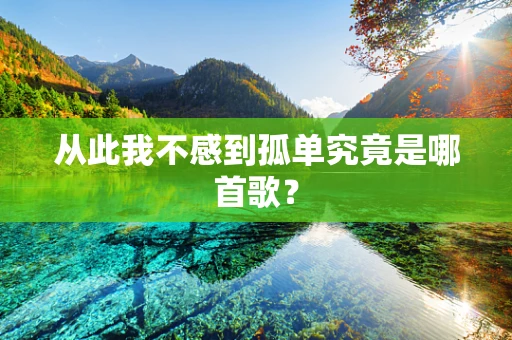 从此我不感到孤单究竟是哪首歌？