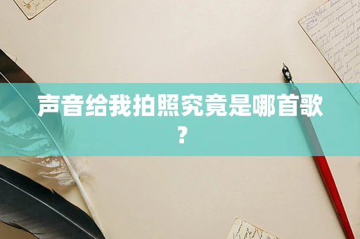 声音给我拍照究竟是哪首歌？