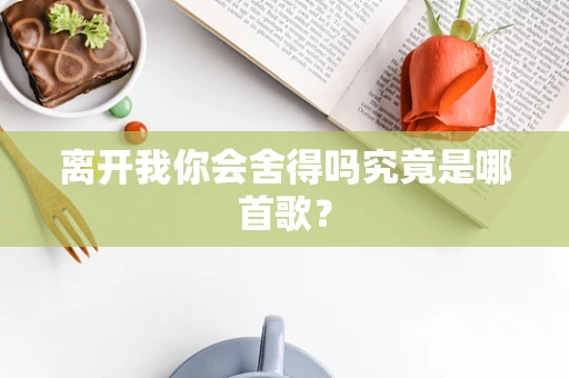 离开我你会舍得吗究竟是哪首歌？