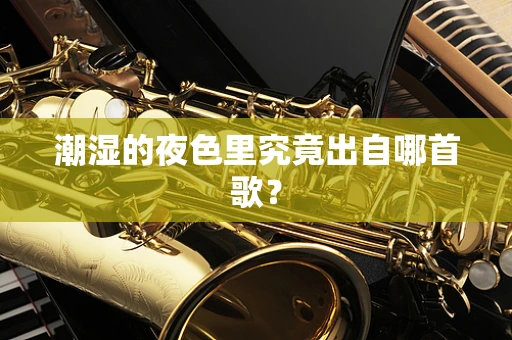 潮湿的夜色里究竟出自哪首歌？
