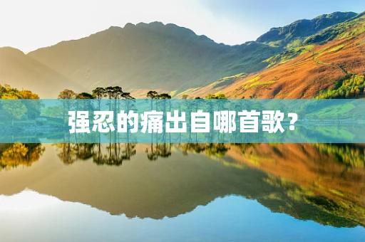 强忍的痛出自哪首歌？