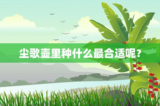 尘歌壶里种什么最合适呢？