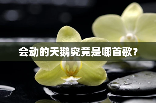 会动的天鹅究竟是哪首歌？