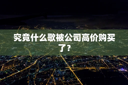 究竟什么歌被公司高价购买了？