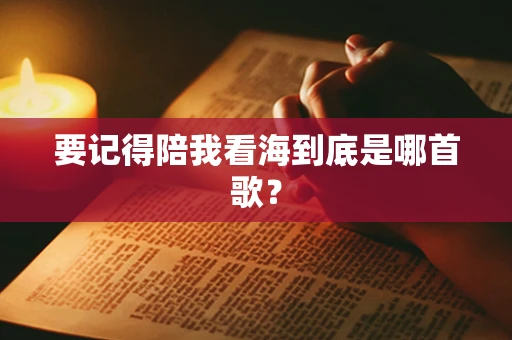 要记得陪我看海到底是哪首歌？