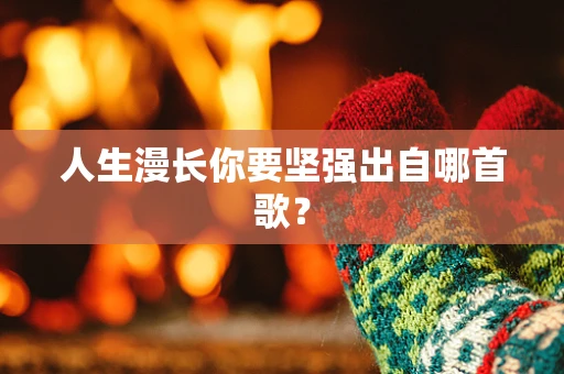 人生漫长你要坚强出自哪首歌？