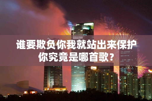 谁要欺负你我就站出来保护你究竟是哪首歌？