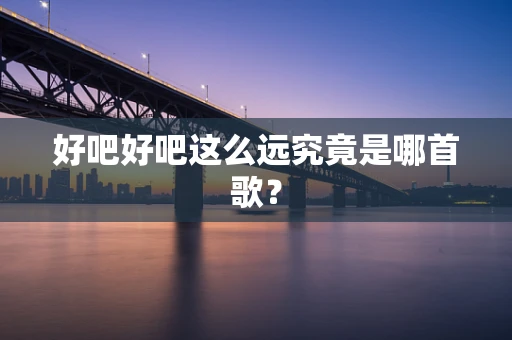 好吧好吧这么远究竟是哪首歌？