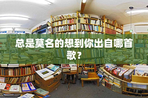 总是莫名的想到你出自哪首歌？