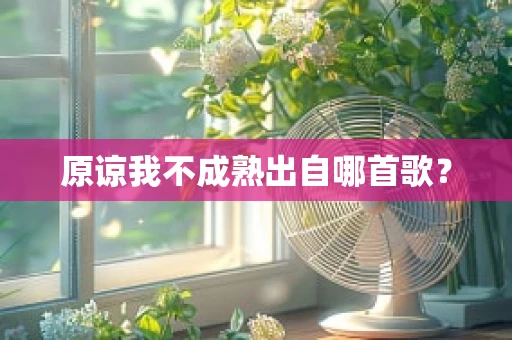 原谅我不成熟出自哪首歌？