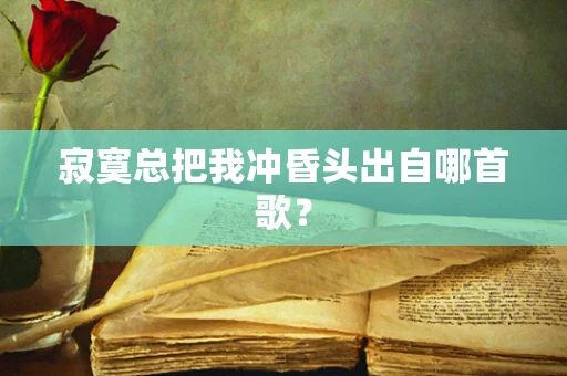 寂寞总把我冲昏头出自哪首歌？